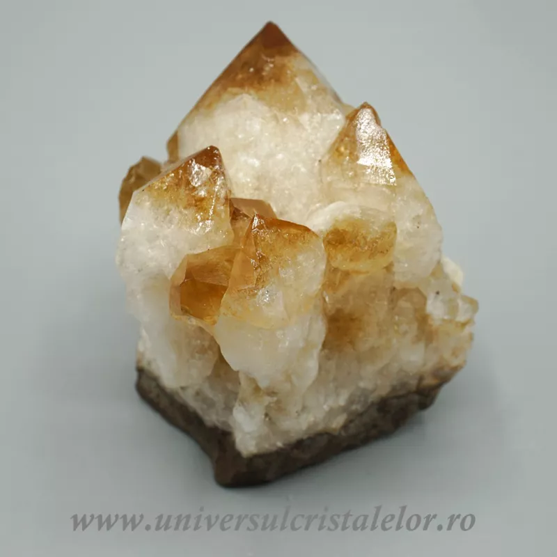 Citrin cluster Citrin cluster