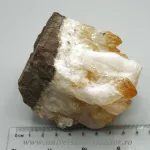 Citrin cluster Citrin cluster