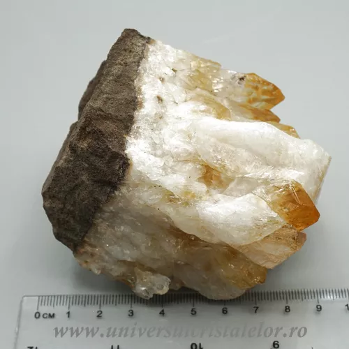 Citrin cluster m14 Citrin cluster m14