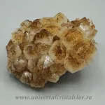 Citrin cluster Citrin cluster