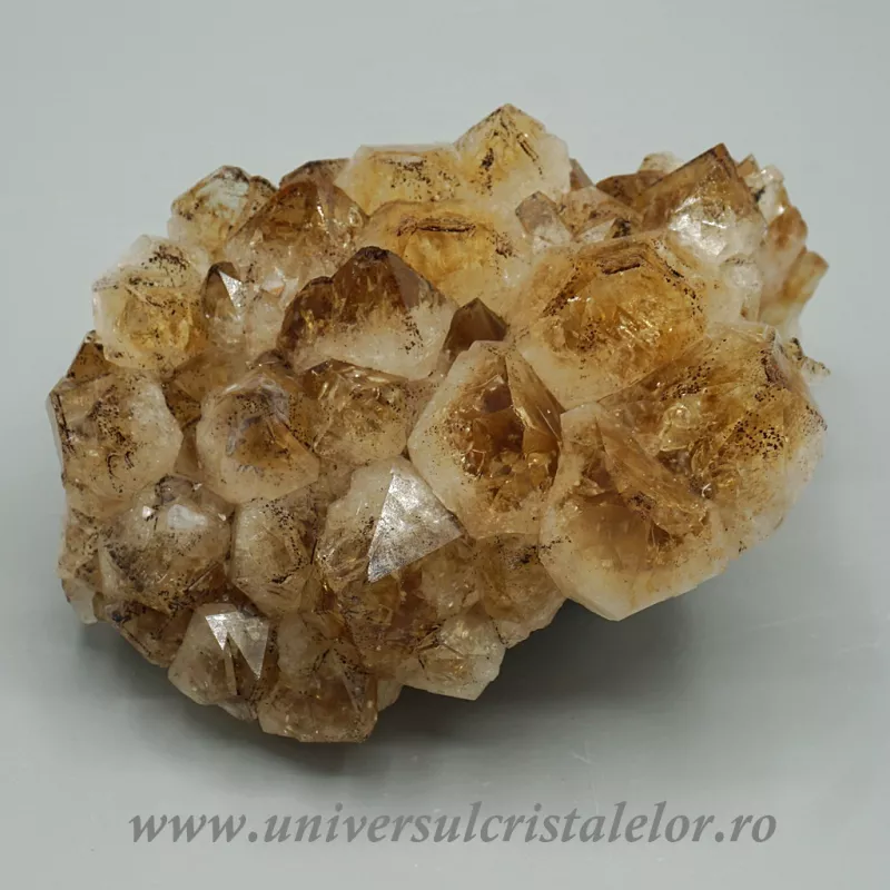 Citrin cluster Citrin cluster