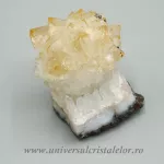 Citrin cluster Citrin cluster