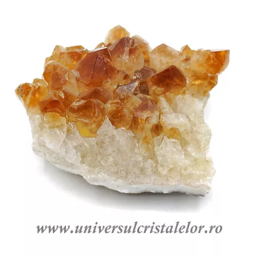 Citrin cluster unicat m25