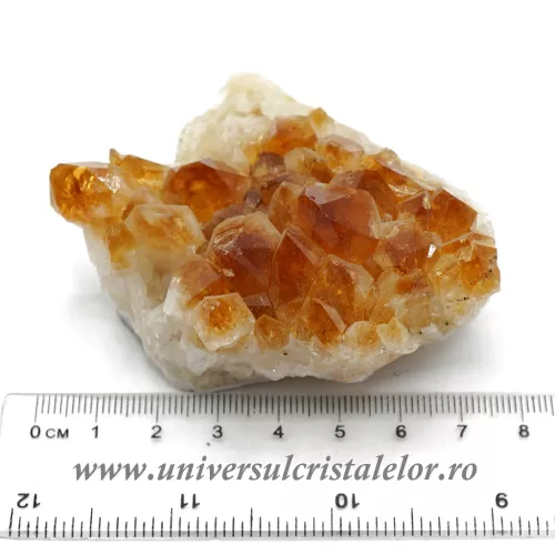 Citrin cluster unicat m25