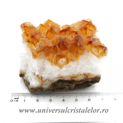 Citrin cluster unicat m25