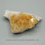 Citrin cluster Citrin cluster