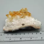 Citrin cluster Citrin cluster