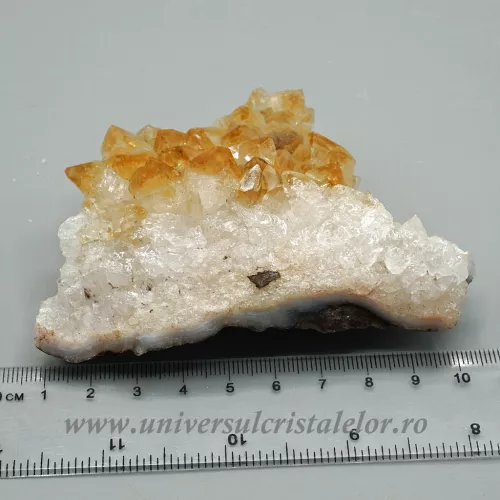 Citrin cluster m13 Citrin cluster m13