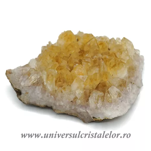 Citrin cluster unicat m25