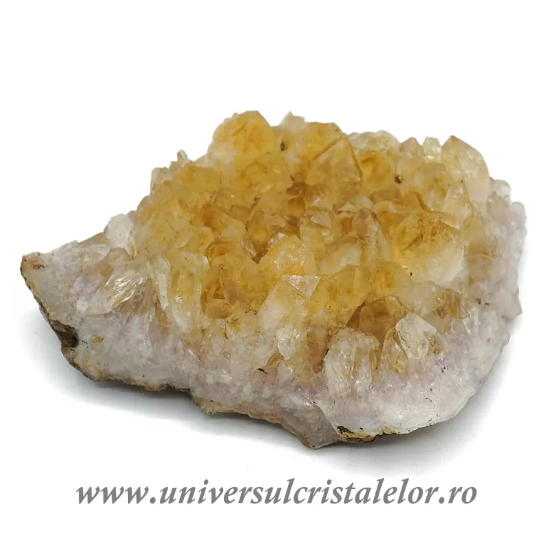 Citrin cluster unicat m25