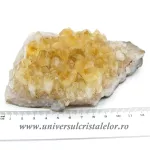 Citrin cluster unicat m25