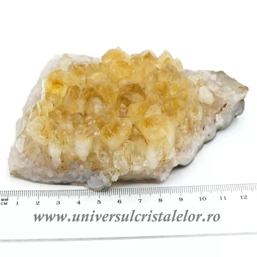 Citrin cluster unicat m25