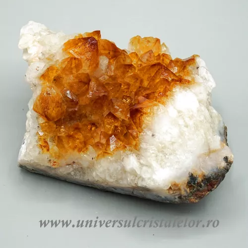 Citrin cluster m15 Citrin cluster m15