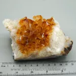 Citrin cluster Citrin cluster