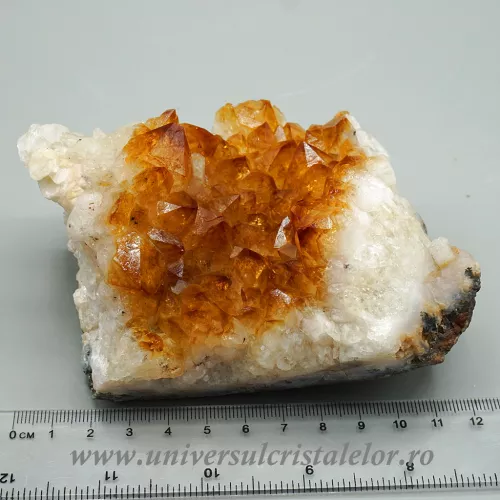 Citrin cluster m15 Citrin cluster m15