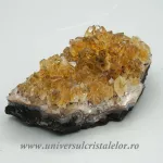 Citrin cluster Citrin cluster