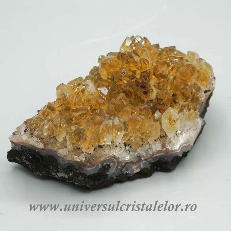 Citrin cluster Citrin cluster
