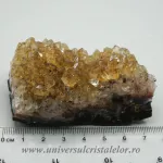 Citrin cluster Citrin cluster