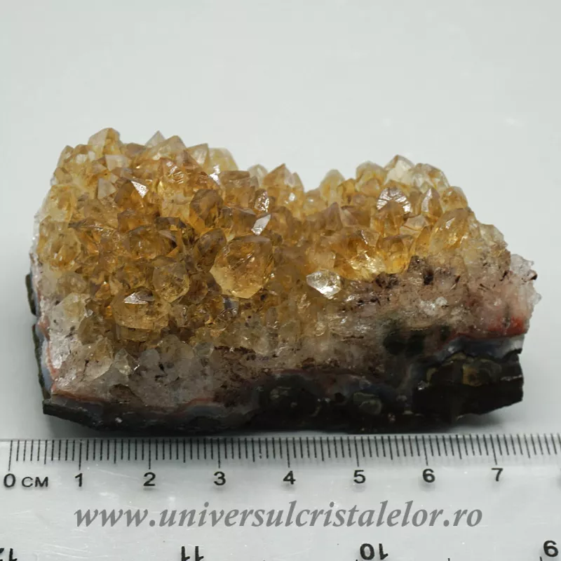 Citrin cluster Citrin cluster