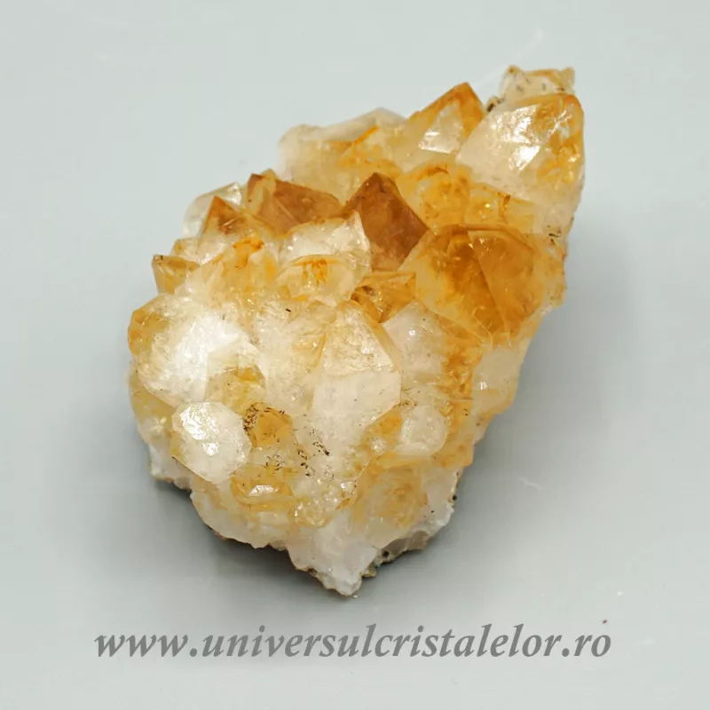 Citrin cluster Citrin cluster