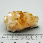 Citrin cluster Citrin cluster