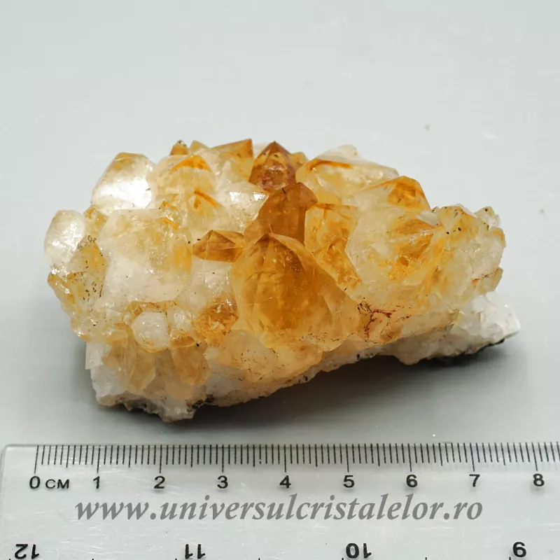 Citrin cluster Citrin cluster