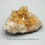 Citrin cluster Citrin cluster