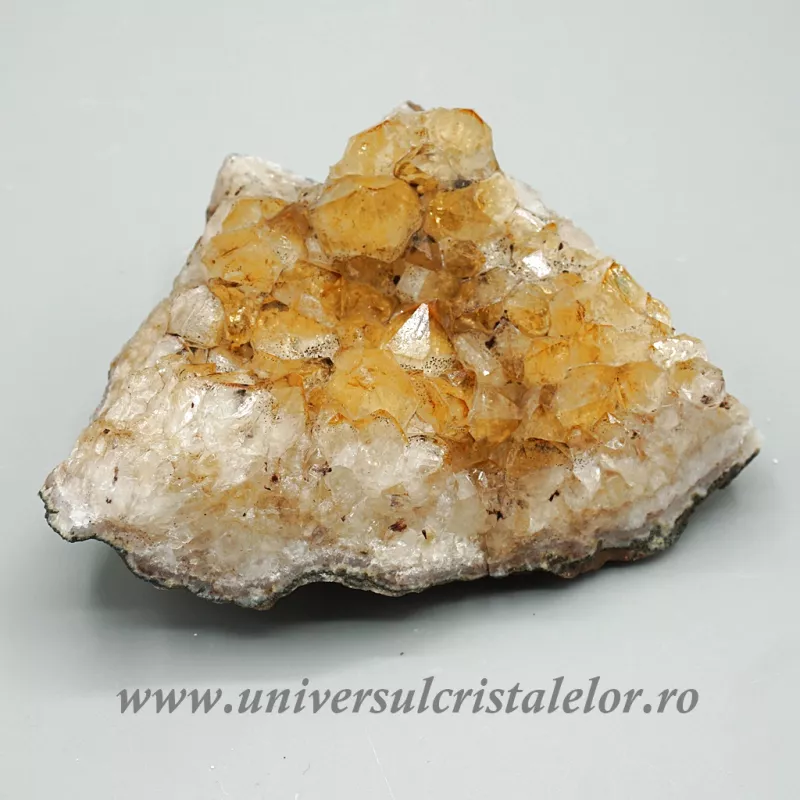 Citrin cluster Citrin cluster