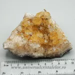 Citrin cluster Citrin cluster