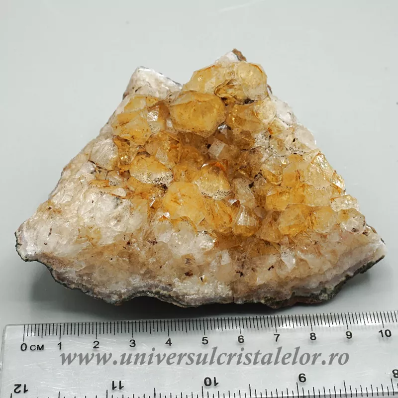 Citrin cluster Citrin cluster