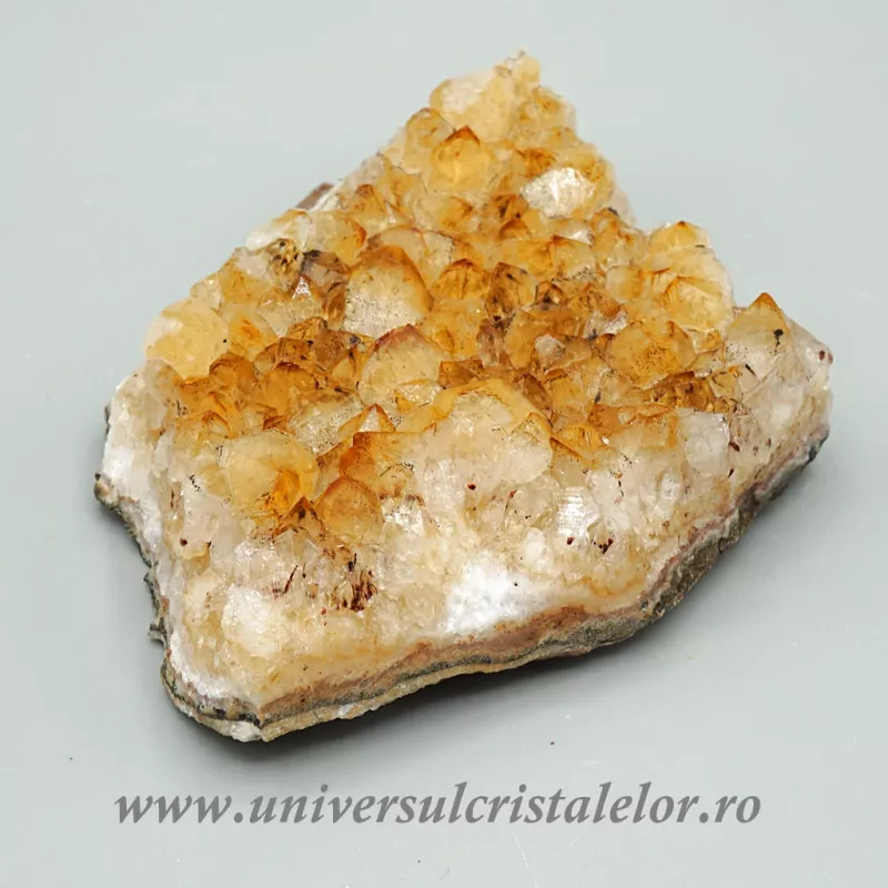 Citrin cluster Citrin cluster