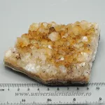 Citrin cluster Citrin cluster