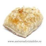 Citrin cluster Citrin cluster