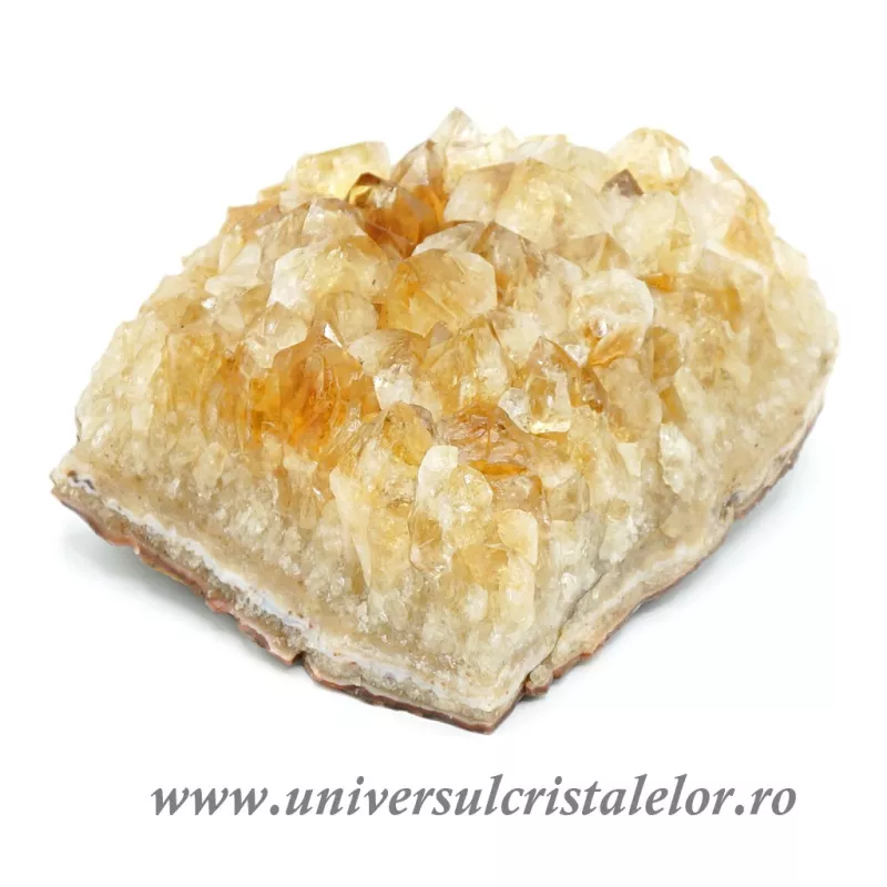 Citrin cluster Citrin cluster