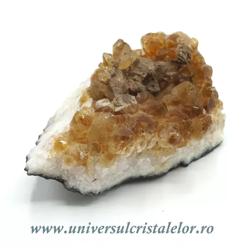 Citrin cluster m22 Citrin cluster m22