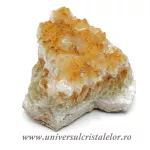 Citrin cluster Citrin cluster