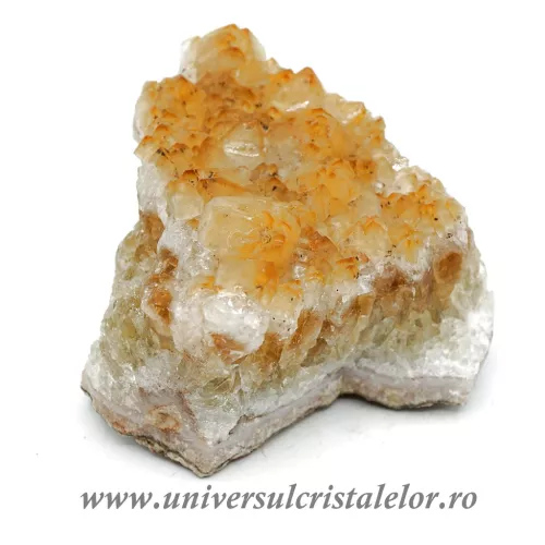 Citrin cluster Citrin cluster
