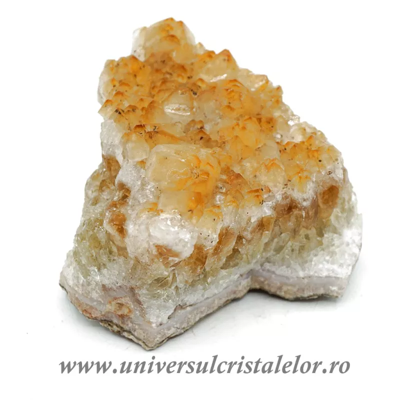 Citrin cluster Citrin cluster