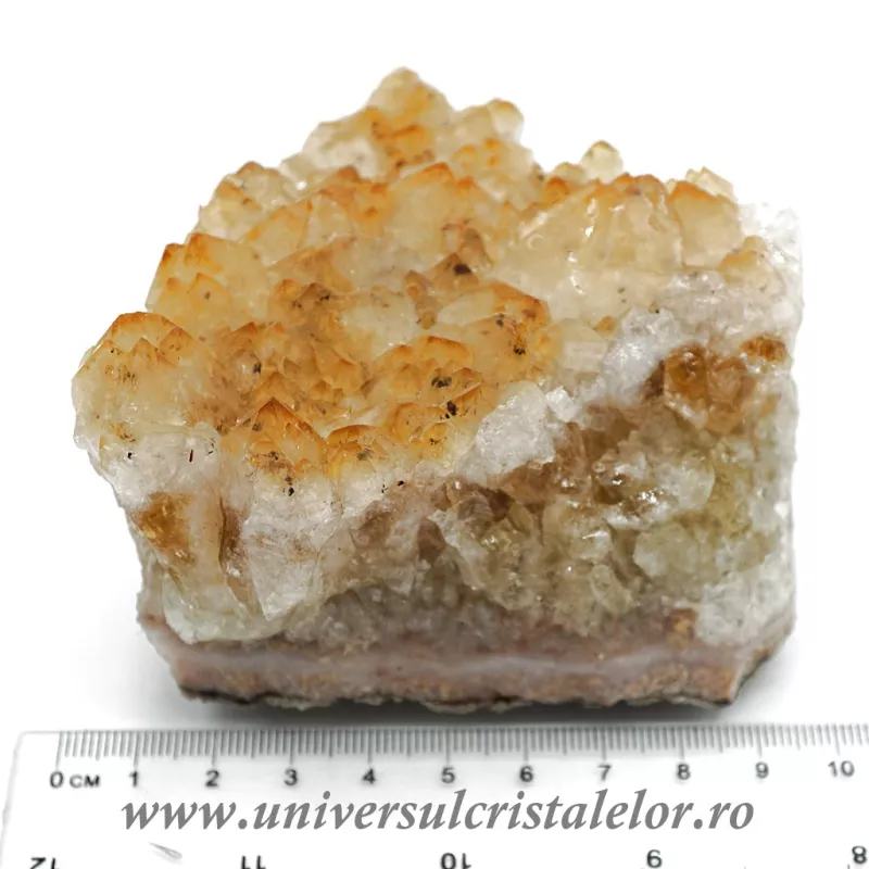 Citrin cluster Citrin cluster