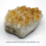 Citrin cluster Citrin cluster