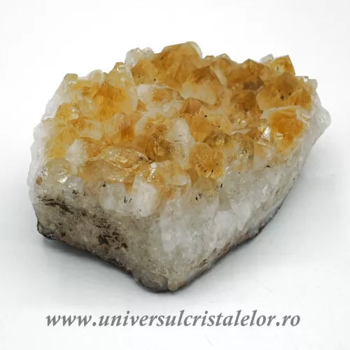 Citrin cluster m18 Citrin cluster m18