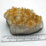 Citrin cluster Citrin cluster