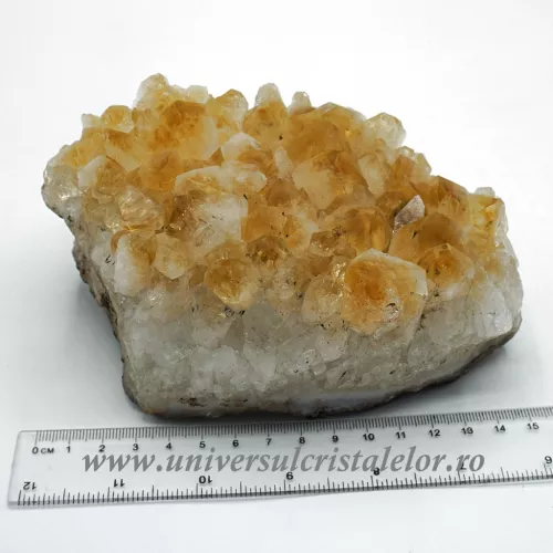 Citrin cluster m18 Citrin cluster m18