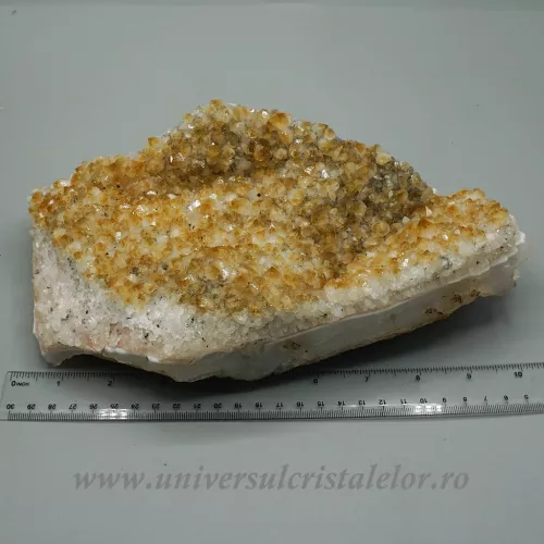 Citrin cluster m33 Citrin cluster m33