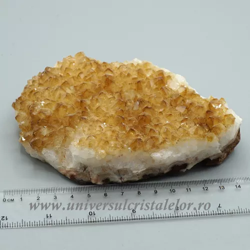 Citrin cluster unicat m25