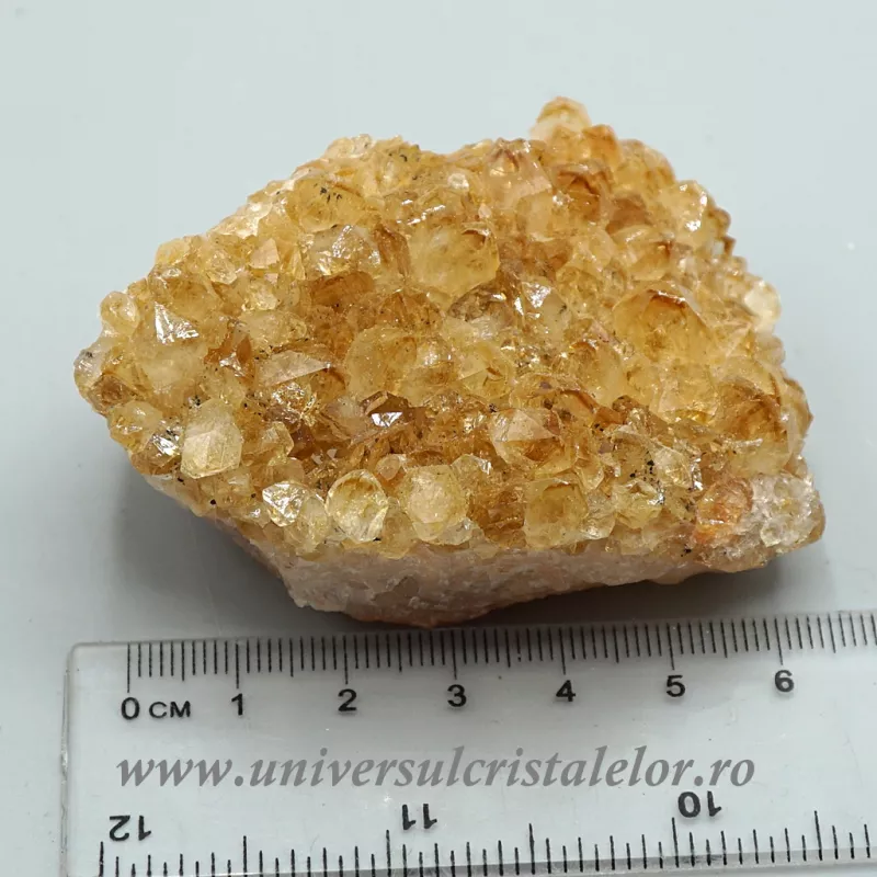 Citrin cluster