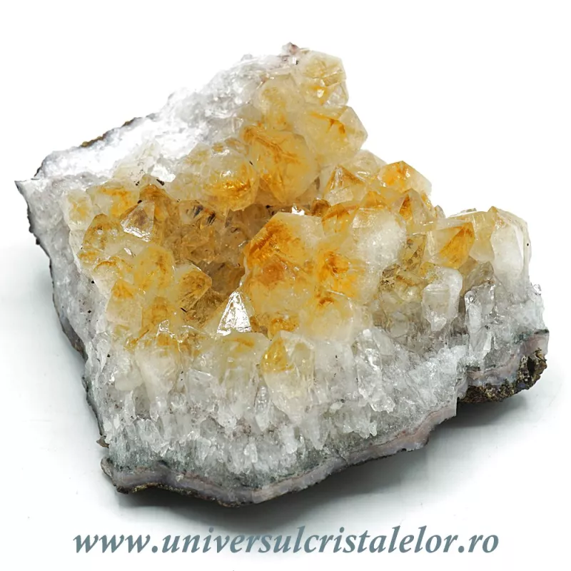 Citrin cluster Citrin cluster