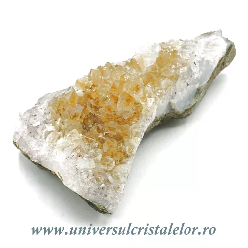 Citrin cluster m28 Citrin cluster m28