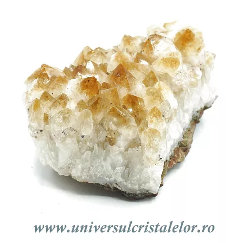 Citrin cluster m11 Citrin cluster m11