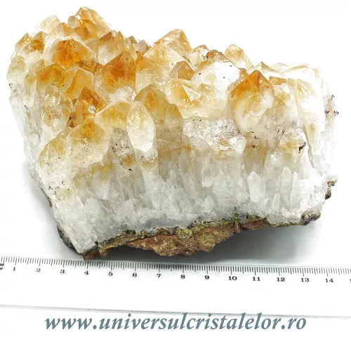 Citrin cluster m11 Citrin cluster m11